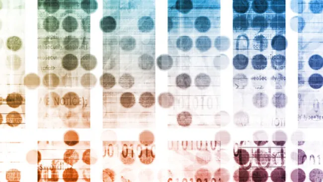 Search, Display Lead Marketing’s Digital Transformation