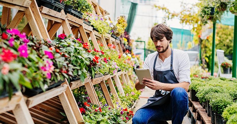 Business in Bloom