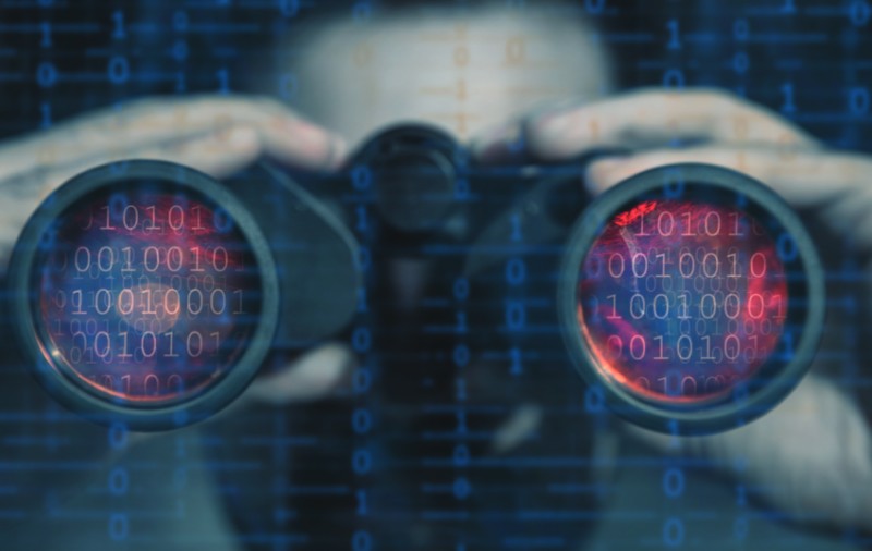 To Catch a Fraudster