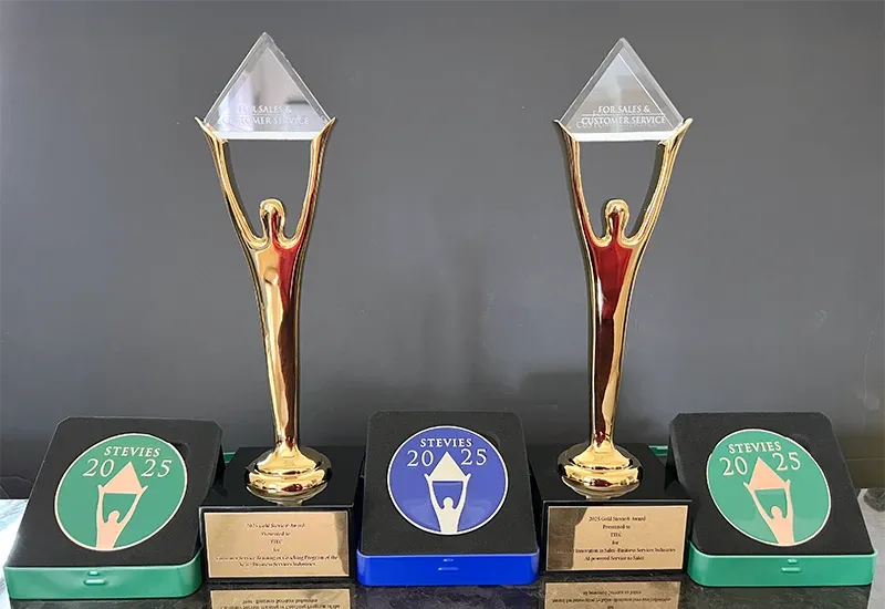 2 of the awards won by Mall Tech Global at the 2025 Stevie Awards